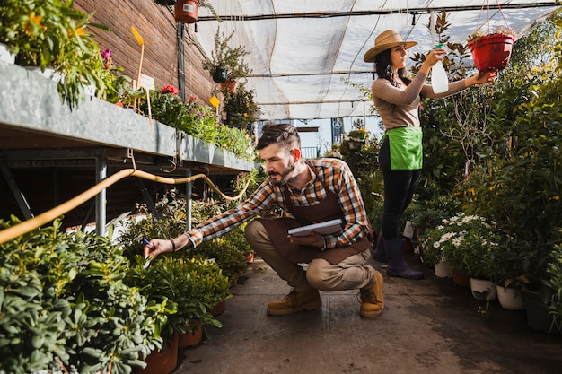 gardeners-working-greenhouse_23-2147768536 gardeners-working-greenhouse_23-2147768536