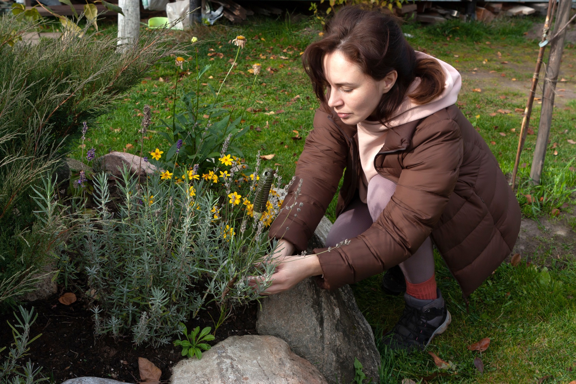 Young woman caring for flowers in flower bed Young woman caring for flowers in flower bed